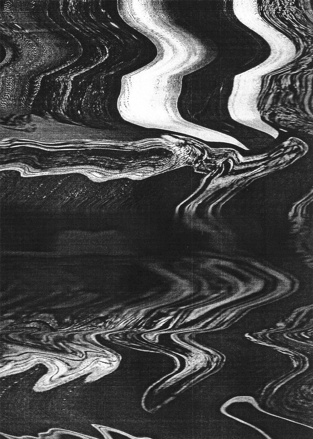 Through the use of scanning and xerox techniques, the abstract image showcases a contorted and fragmented portrayal of nature, evoking a sense of unease and disturbance. The black-and-white composition features textures and glitches that add to its aesthetic.