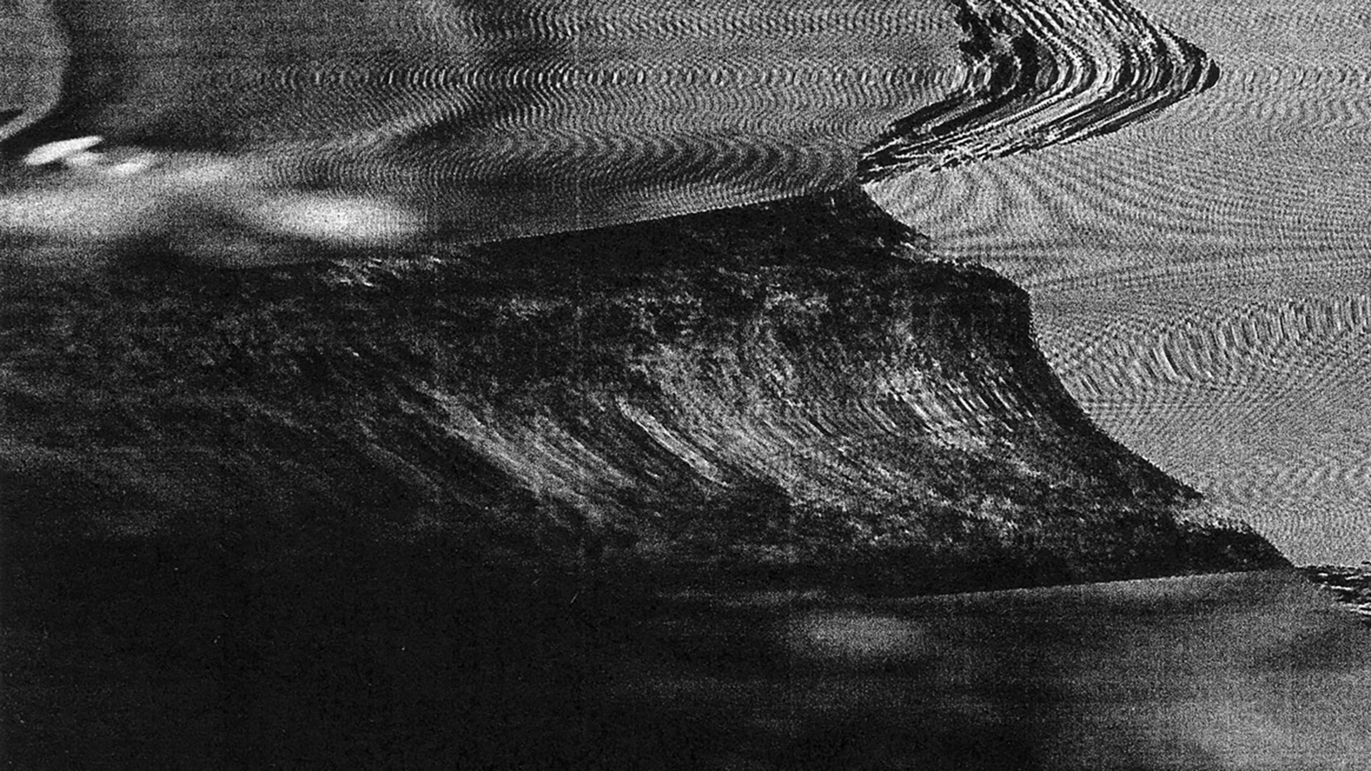 Monochrome scanograph or xerox art composition depicting a distorted and warped representation of nature.
