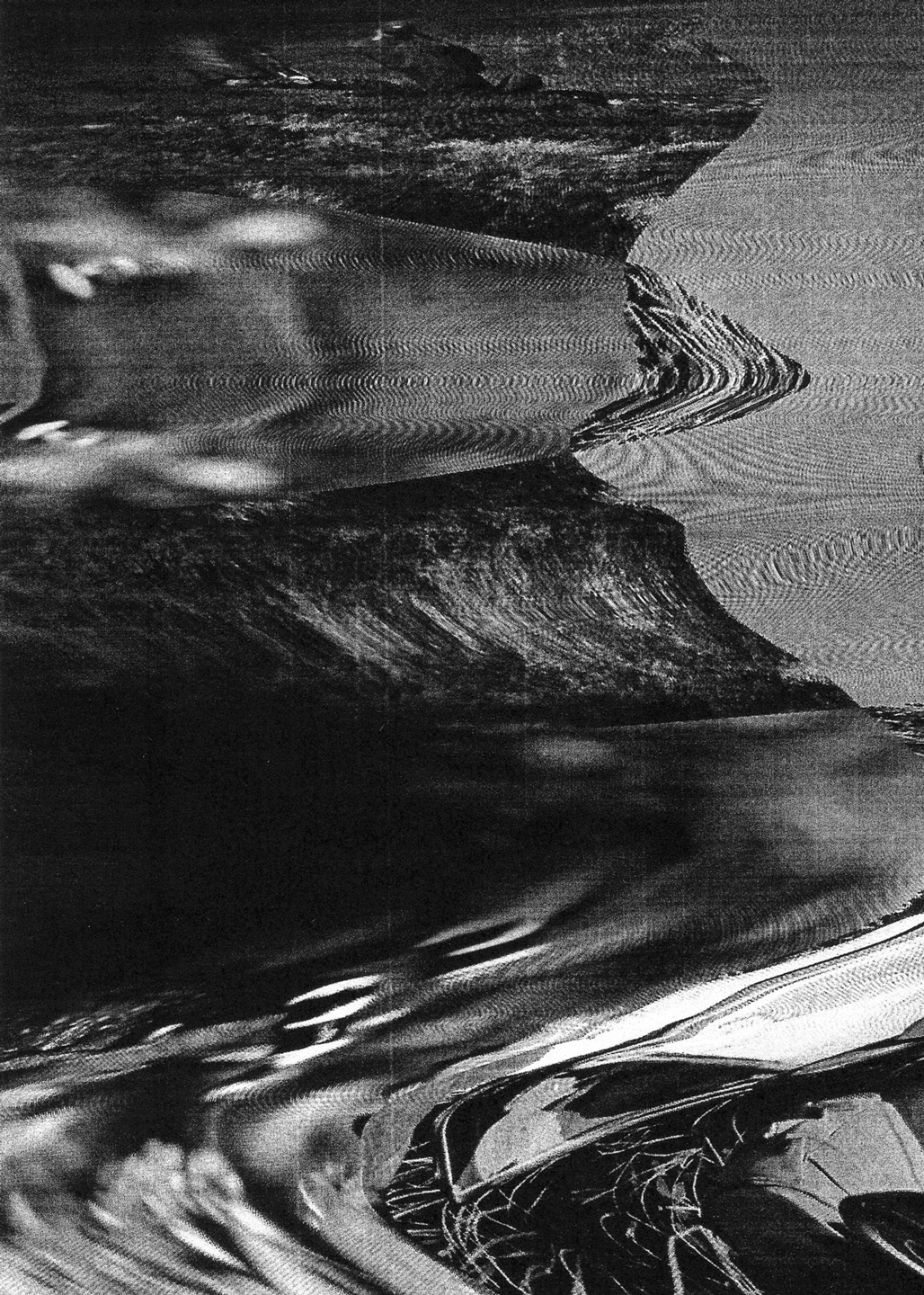 A scanograph or xerox art composition depicting a distorted and warped representation of nature. The overall tone of the artwork is one of despair and destruction, with the organic elements appearing fragmented and disfigured. The black-and-white composition features textures and glitches that add to its aesthetic.