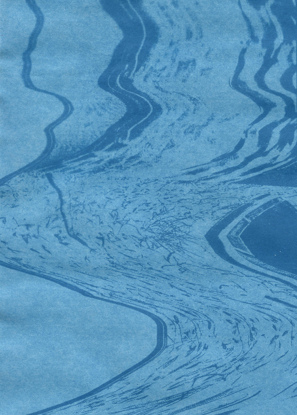 A cyanotype created from the Nature/Distortion scanograph piece. The light blue background and dark blue organic shapes and elements create a serene feel, linking with flowing water and nature. 
