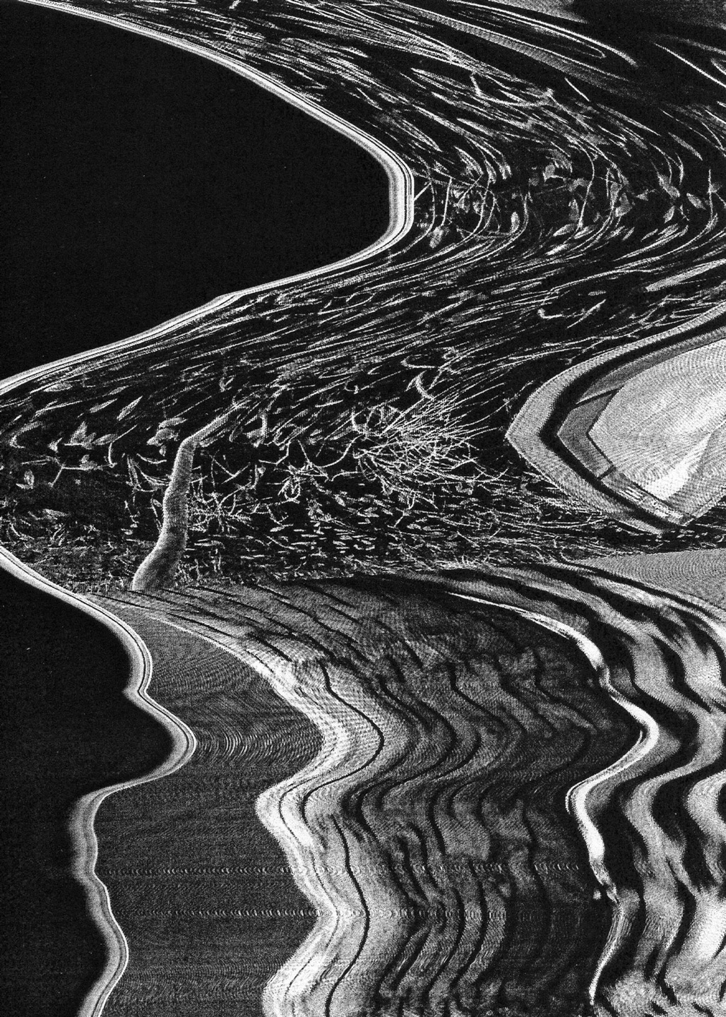 The image showcases a scanograph and xerox art composition depicting a distorted and warped representation of natural elements. The abstract artwork creates an unsettling effect, highlighting the fragility and vulnerability of nature. The black-and-white composition features wavy shapes and glitches that add to its aesthetic.