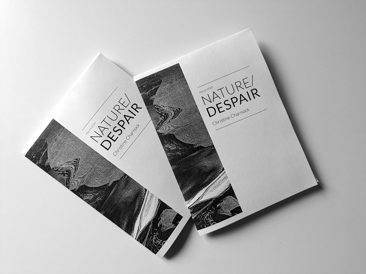 A photo of two exhibition catalogues stacked on top of each other. The front cover of the catalogues showcase a warped scanograph to the left, with the text 'Nature/Despair' displayed prominently in a sans serif font on the right. The catalogues are printed in black-and-white. 