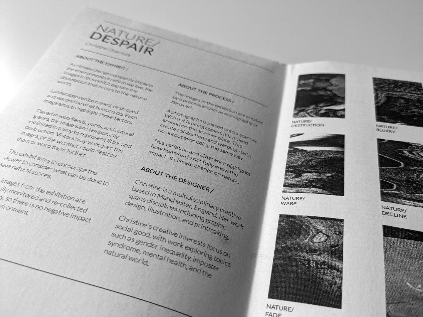 A zoomed-in photograph shows the interior of the exhibition catalogue. The page on the left provides an overview of the artist's exploration of the theme of despair in nature. This is written in black sans serif text on a white background. The page on the left highlights the artworks presented in the exhibition, with thumbnails of each piece and its title. 
