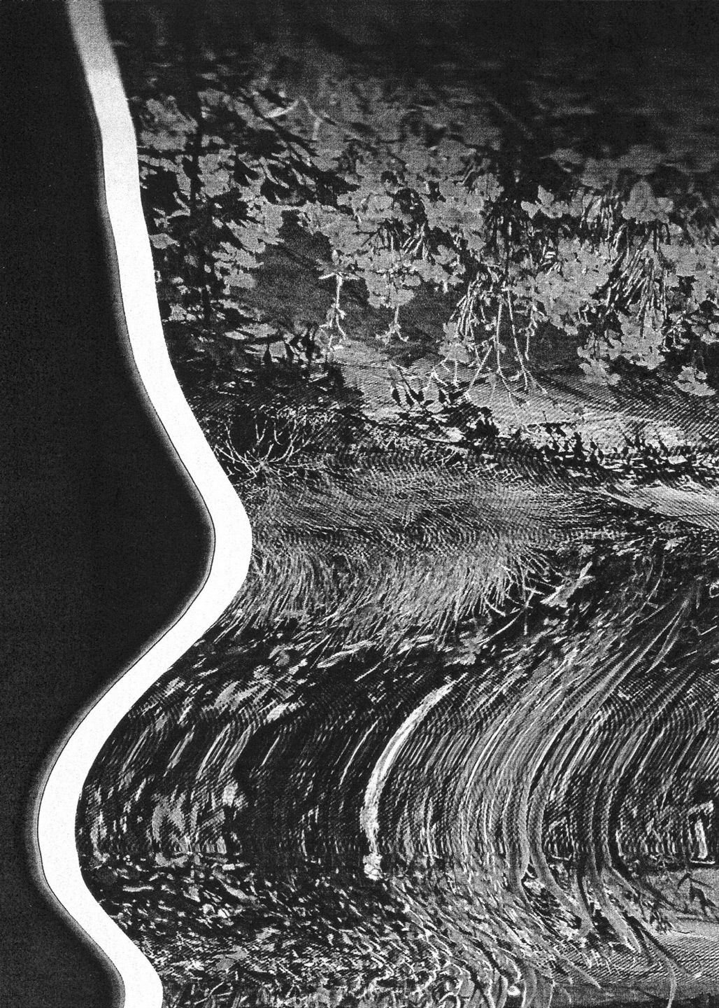 A scanography artwork depicting distorted and warped representations of natural elements. In this piece, some fragments of trees and leaves can be seen, but they are wavy and glitched. The abstract artwork is in black-and-white. 